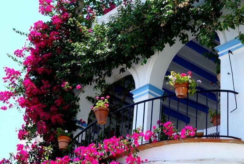 Pension El Torreon Mojácar Esterno foto